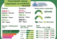 Тренди на ринку зернових та олійних з 30 грудня по 7 січня
