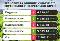 AgroMarket UUB: аналіз українського ринку зерна за 29-31 липня