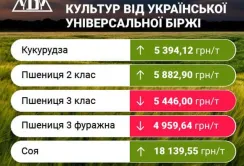 Підсумки на ринку зернових та олійних за минулий тиждень