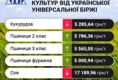 Проміжні підсумки цінових індикативів