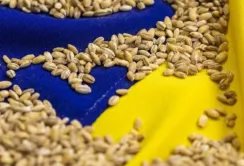Агрополітику ЄС можливо доведеться змінювати, – Дмитро Кулеба