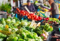 Агропродовольчим ринкам залишилось три місяці
