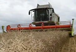 У 2024 році український агросектор встановив декілька рекордів