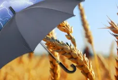На Черкащині стартувала інноваційна програма агрострахування
