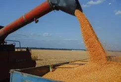 Група АГРОТРЕЙД вдвічі збільшила перевалку зерна через порти з початку повномасштабної війни