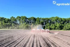 У Групі АГРОТРЕЙД вперше посіяли арахіс