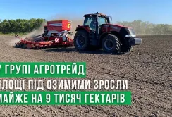 У Групі АГРОТРЕЙД збільшили площі під озимими культурами майже на 9 тисяч га