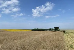 Група АГРОТРЕЙД отримала історичний рекорд урожайності озимого ріпаку на Сумщині