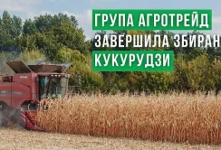АГРОТРЕЙД закінчив збирати кукурудзу: врожайність вища, ніж розраховували