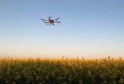 На полях компанії Агротрейд засоби захисту рослин вносять дронами
