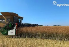 У Групі АГРОТРЕЙД стартували жнива-2024