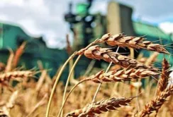 Обсяг фермерського ринку України становить 70 млрд грн