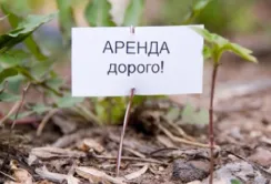 На Полтавщині - одна з найвищих плат за оренду гектара земельного паю