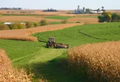Орендувати державні сільгоспземлі стає дорожче