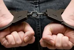 Полтавчани незаконно експортували кукурудзу до Європи
