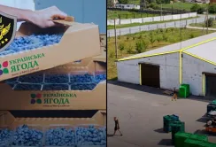 АРМА знайшло управителя для ТОВ «Українська ягода»