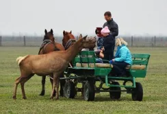 У 6-ти областях України створять агро-рекреаційні кластери