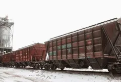 Наступного тижня Укрзалізниця виставить на аукціон 700 зерновозів