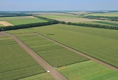 Фонд держмайна проведе в кінці липня перші аукціони з оренди держземель