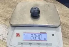В Австралії виростили лохину вагою понад 20 грамів