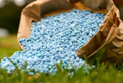 Зафіксовано новий ціновий рекорд на азотні добрива