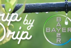 Bayer AG і Netafim запустять нову систему крапельного зрошення
