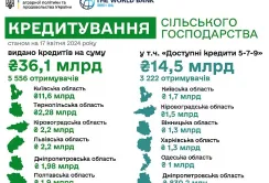 Банківськими кредитами найбільше користуються аграрії Київської області