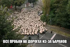 Лайфхаки тижня: дивацтва науковців та активізація представників найдревнішої професії