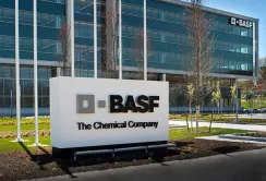 BASF презентувала виробничу систему Clearfield® Plus для соняшнику