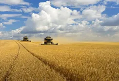 Підтримка для кожного: BASF продовжує дію вексельної програми під 1% на купівлю засобів захисту рослин та насіння
