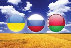 Білорусь збагатилася на транзиті української сільгосппродукції в РФ