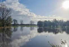Бельгійські фермери «пішли під воду»