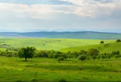 На Вінниччині намагались повторно безоплатно приватизувати 12 га землі