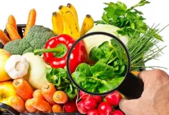 Парламент ухвалив в першому читанні закон про безпеку харчових продуктів
