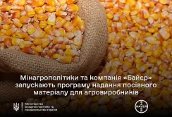 Фермери 5 областей можуть безплатно отримати насіння кукурудзи
