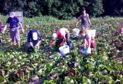 Після старту безвізу українці штурмують польський ринок праці