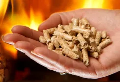 На Харківщині планують побудувати дві ТЕЦ на біомасі