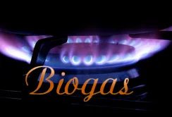 Україна - в ТОП-10 країн за кращим потенціалом виробництва біогазу