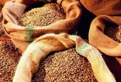 Аграрні ноти та біржова торгівля зерном відкриють агросектор для нових джерел капіталу
