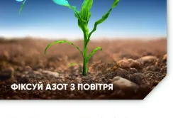 Оптимізатор ефективності живлення Блу™ N від Corteva Agriscience збільшує врожайність пшениці озимої та кукурудзи – результати досліджень