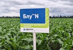 Оптимізатор ефективності живлення Блу™ N від Corteva Agriscience покращує врожайність польових культур – результати досліджень