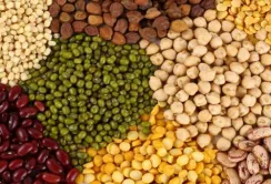 Світова частка України у виробництві зернобобових лише 1%