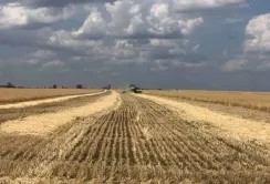 У Болградському районі розпочались жнива