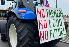 Фермери Британії протестуватимуть у Лондоні проти неякісних продуктів