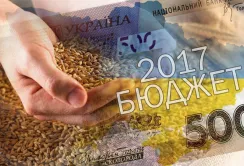 Кожна 10-та гривня від ПДВ у держбюджеті аграрна