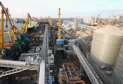 Bunge матиме понад 50% голосів у стивідорі в Миколаєві
