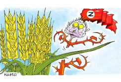 На полях – хоч яєчню смаж: обсяг зібраних зернових наближається до 20 мільйонів тонн