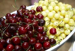 Агролайфхак: як вибирати черешневі саджанці