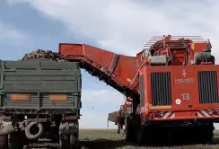Через посуху на Вінниччині недоотримали врожай цукрового буряку