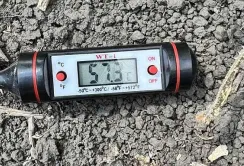 Через спеку в Україні може початись овочева криза